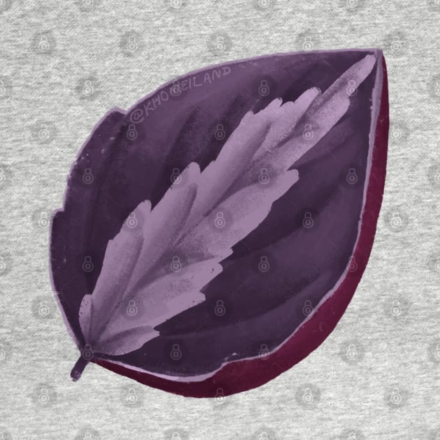 Peperomia Metallic Colombiana Leaf by Khotekmei